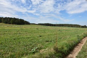 Landschaft am Kutschenberg