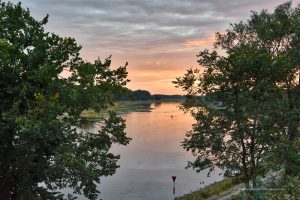 Elbe in Coswig in Anhalt