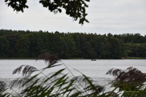See in Lychen