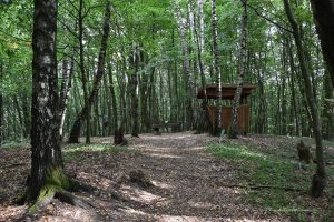 Höchster Berg in Mecklenburg-Vorpommern