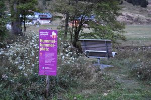 Hummeltanzplatz