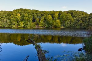 Herthasee im Nationalpark Jasmund