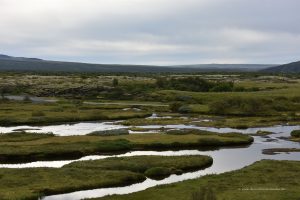 Landschaft im Nationalpark