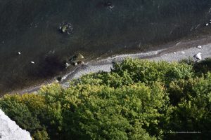 Blick in die Tiefe am Kreidefelsen