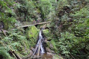 Wanderweg im Schluchtensteig