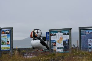 Skultpur eines Puffins