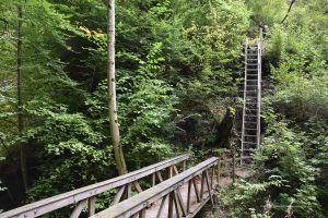 Brücke an den Schleifenbachwasserfällen