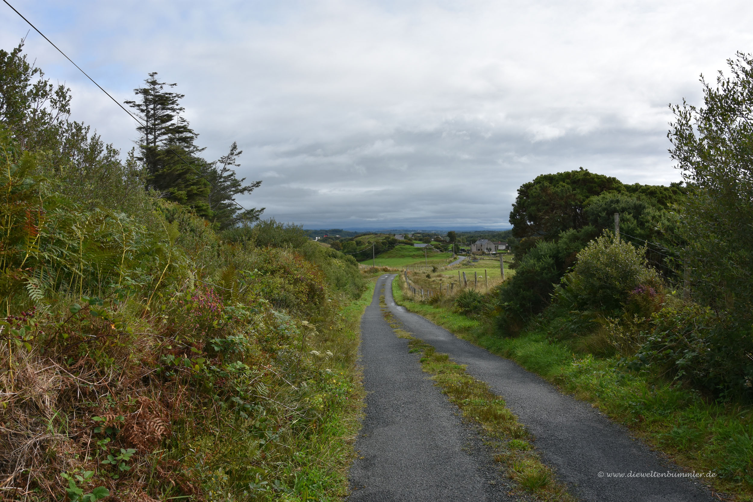 Wanderweg in Irland