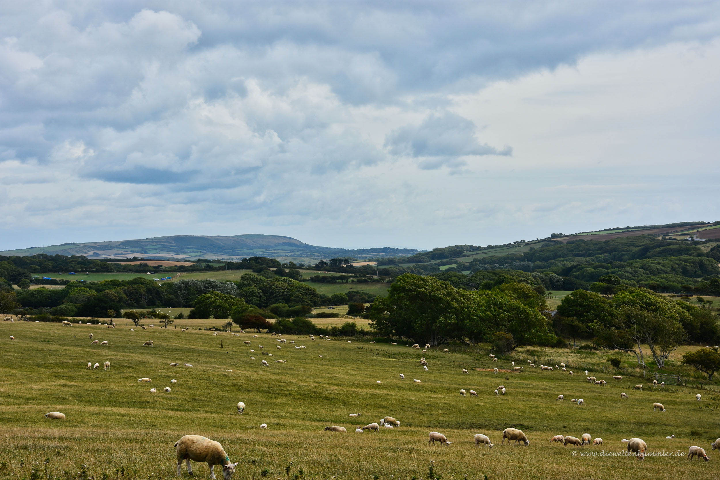 Landschaft in Dorset