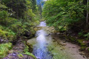 Weissbachtal