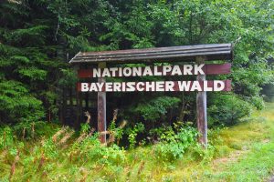 Nationalpark Bayerischer Wald