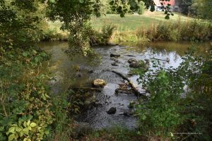 Der Erika-Fuchs-Luftsteg