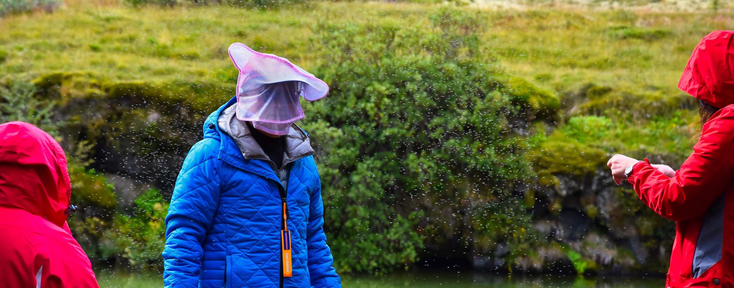 Tourist mit Mückenschutz am Mývatn