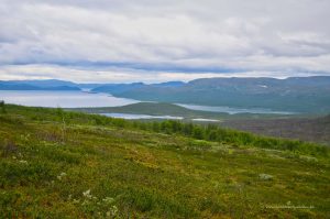 Typische Seenlandschaft in Lappland
