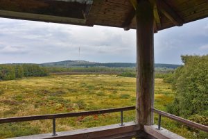 Ausblick vom Aussichtsturm Rotes Moor