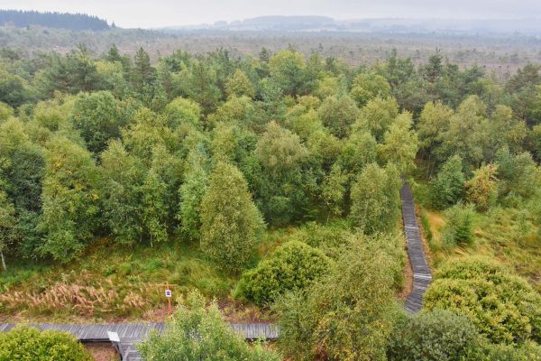 Schwarzes und Rotes Moor in der Rhön | Die Weltenbummler