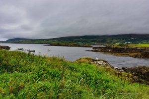 Bucht bei Killybegs