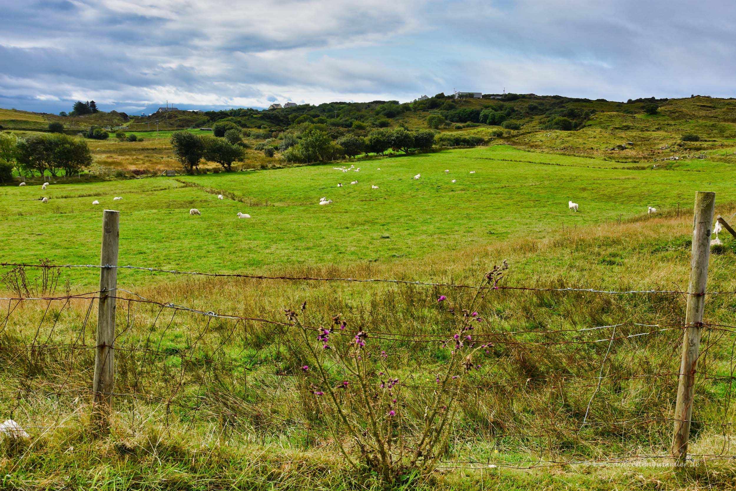 Irische Landschaft