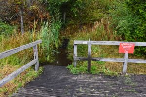 Möglichkeit durch das Wasser zu gehen