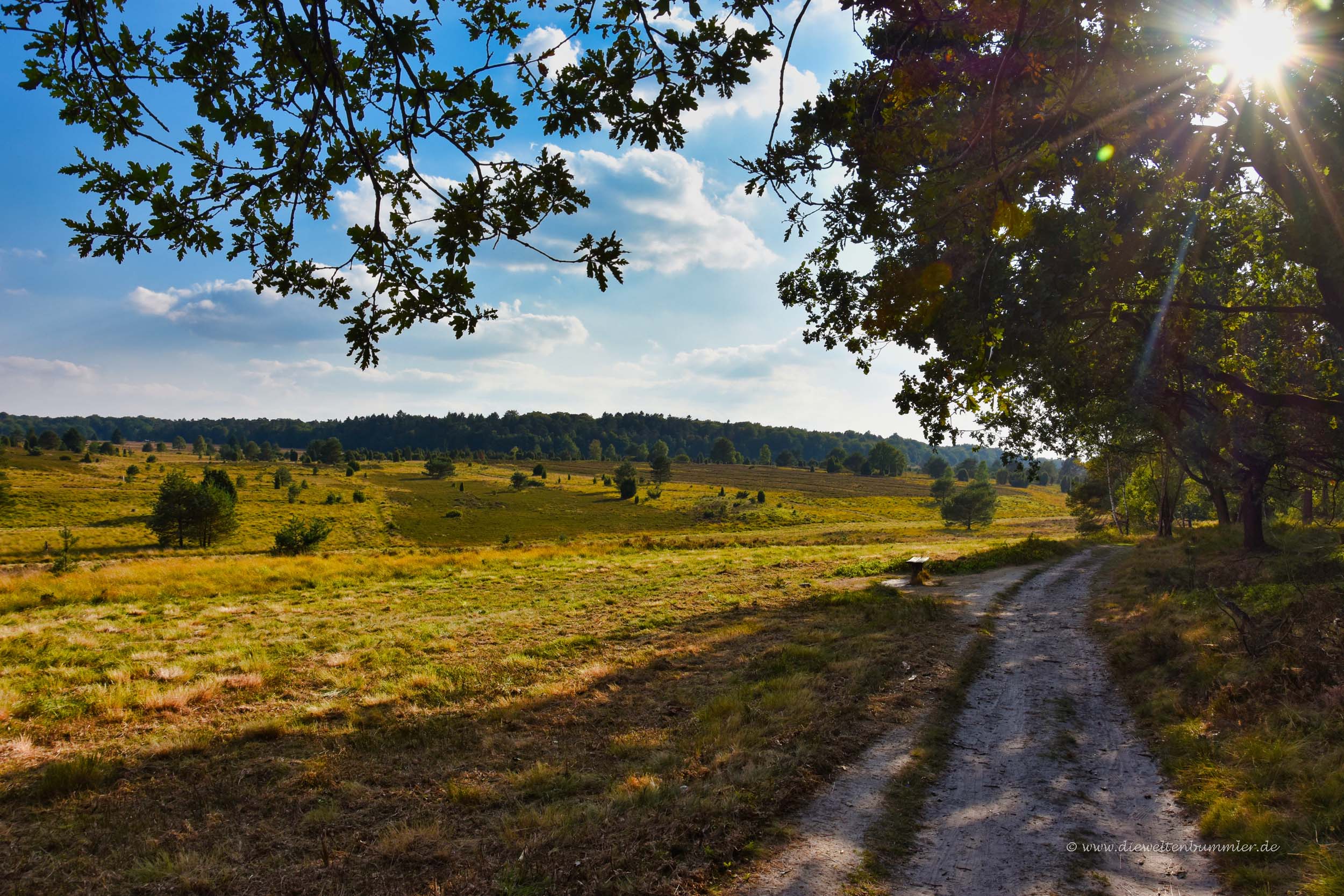 Abendstimmung in der Heide