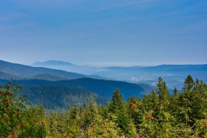 Ausblick beim Wandern
