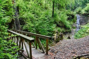 Brücke am Schleifenbachwasserfall