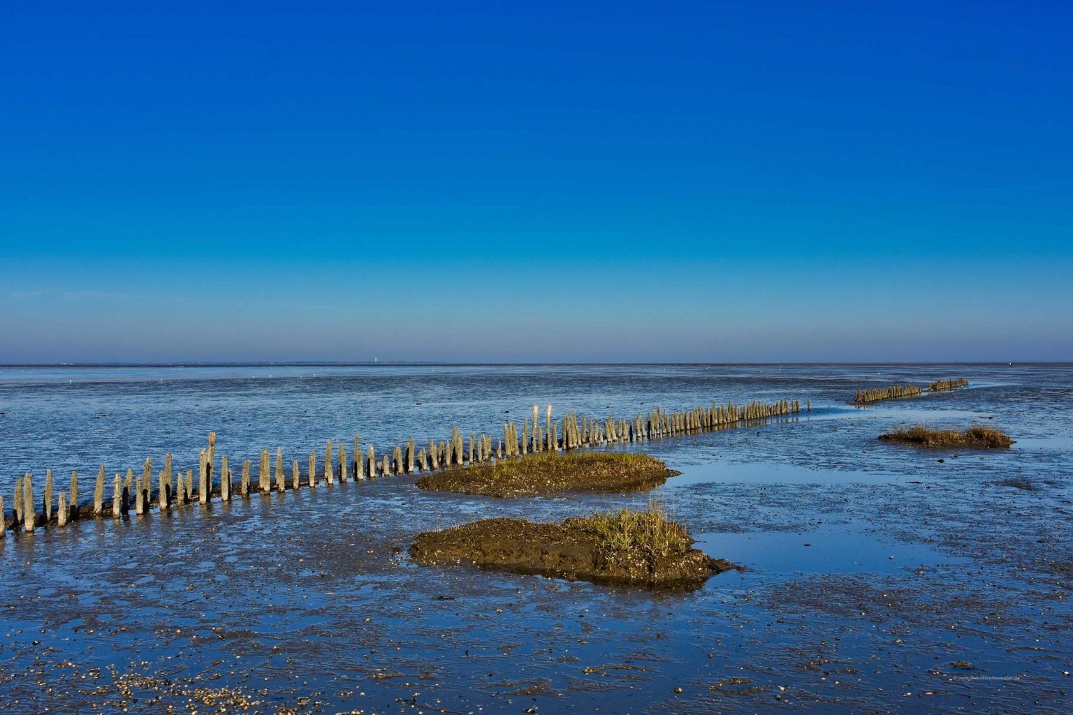 Wattenmeer