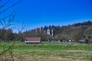 Blick vom Laacher See