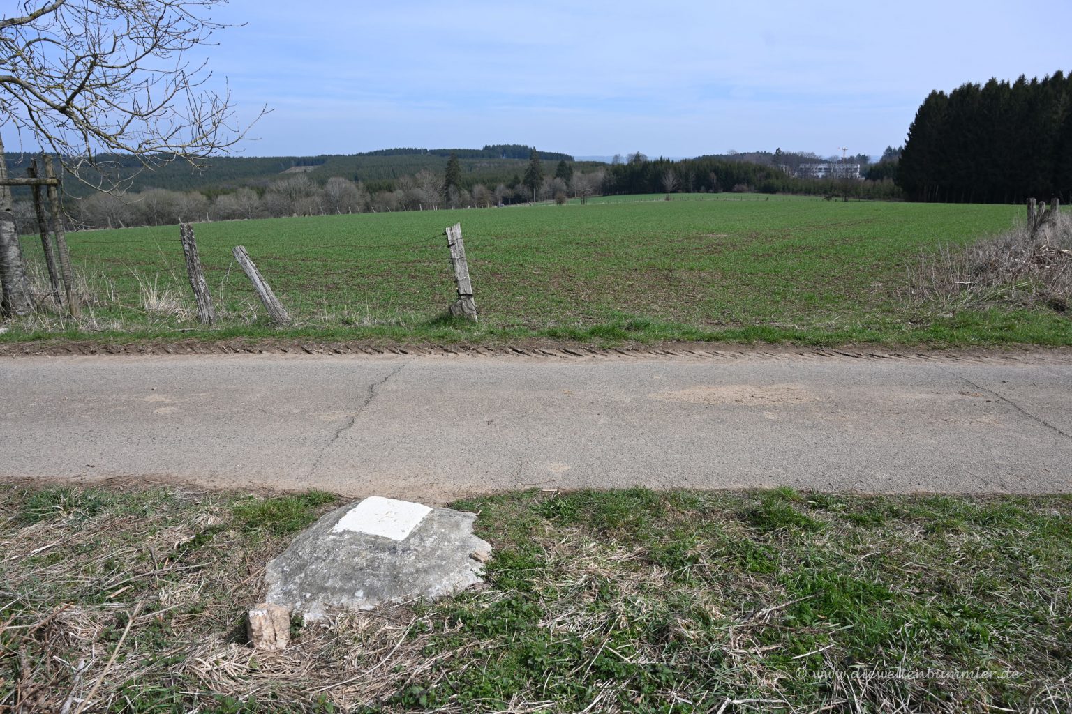 Kneiff Die Weltenbummler