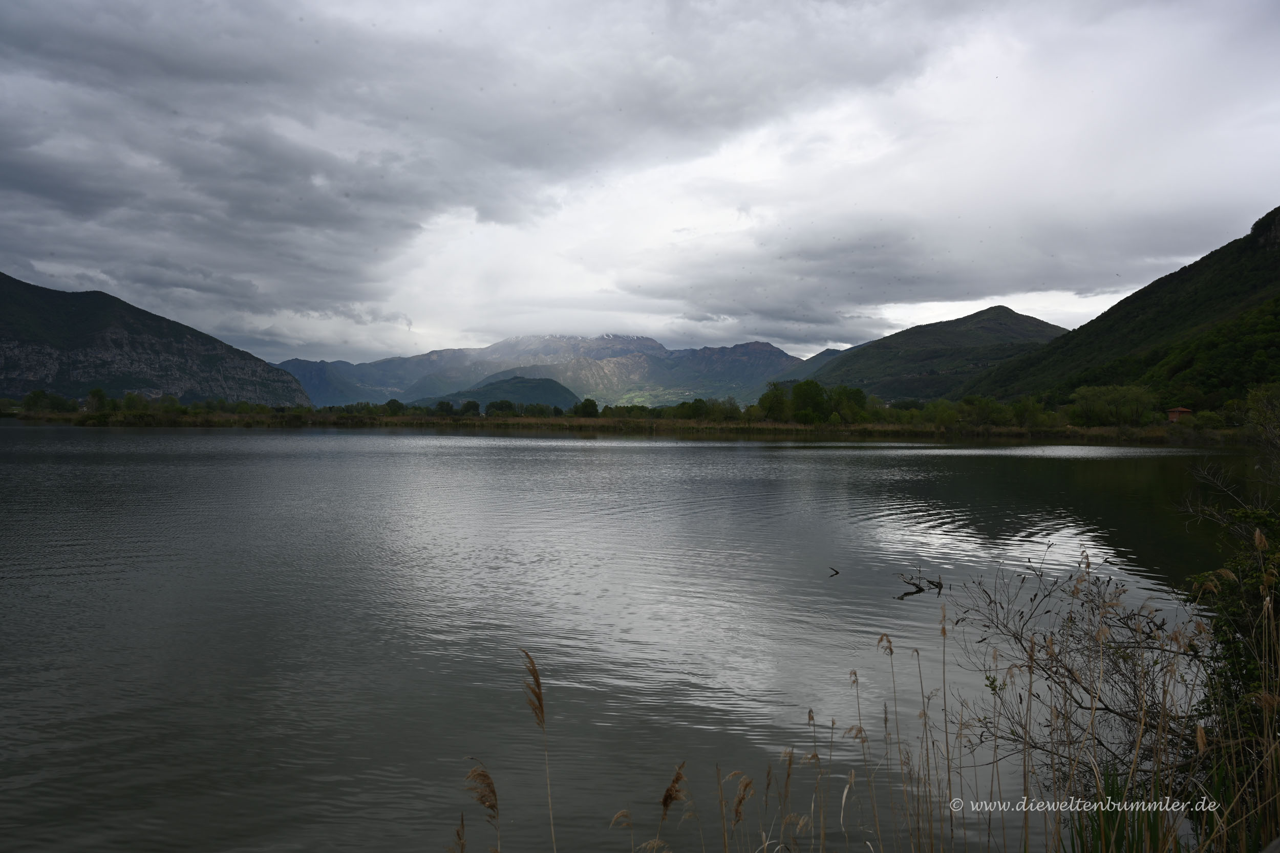 Blick vom Naturreservat zu den Alpen