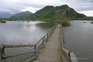 Holzsteg im Naturreservat