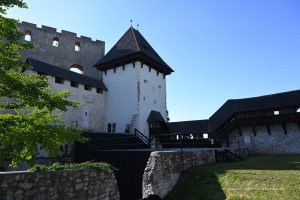 Celje Burg