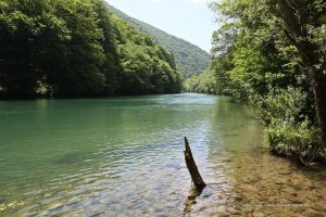 Grenzfluss zu Kroatien