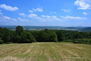 Landschaft im Südosten von Slowenien