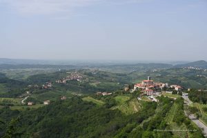 Slowenische Weinlandschaft