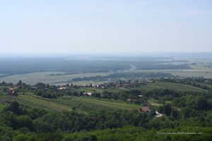 Weinlandschaft im Osten von Slowenien