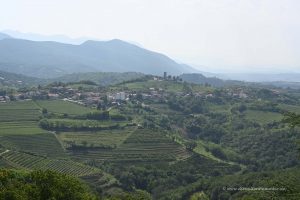 Weinregion im Westen von Slowenien