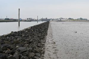 Blick vom Wattenmeer zurück