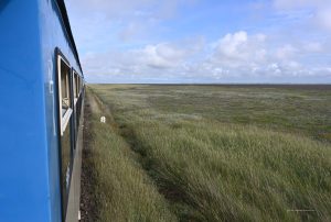 Mit der Inselbahn durch die Salzwiesen