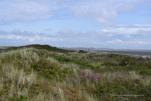 Wangerooges Landschaft