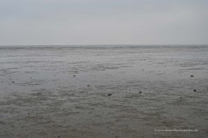 Wattenmeer