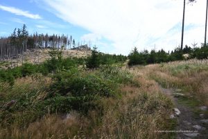 Weg zum Ferdinandsstein