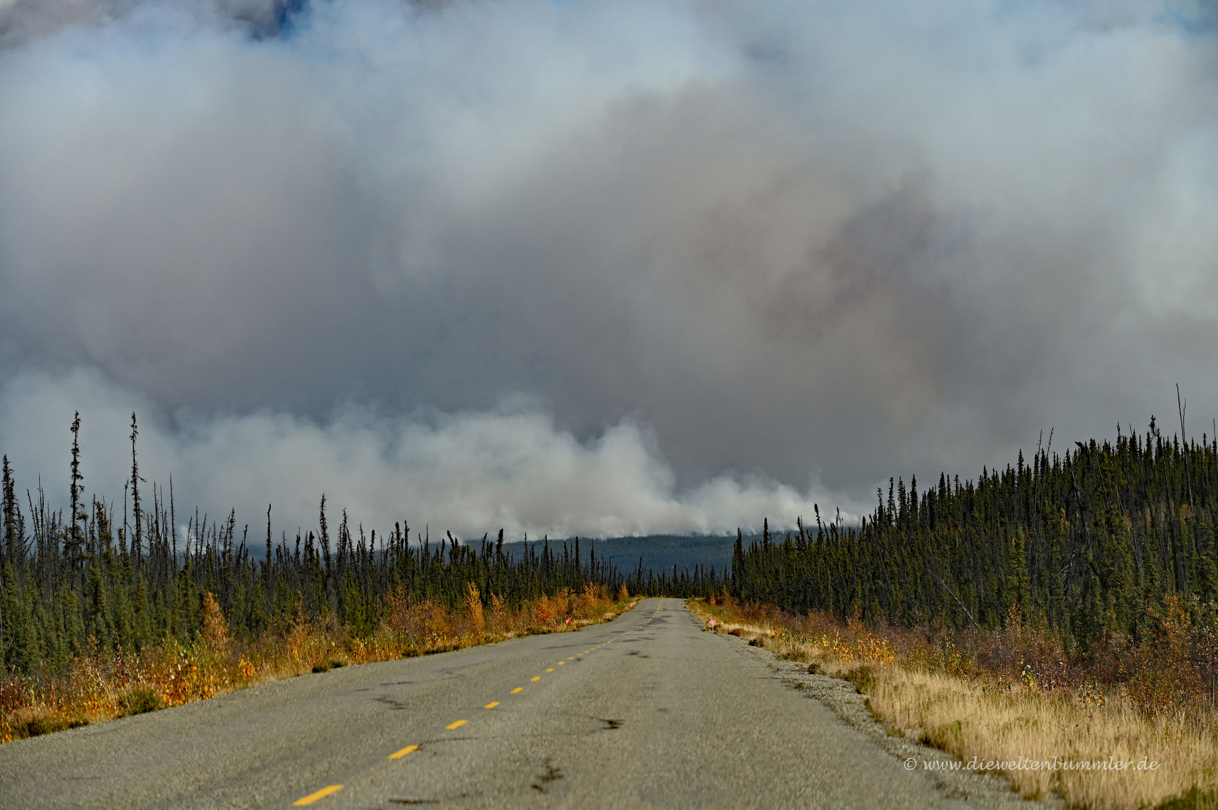 Waldbrände im Yukon