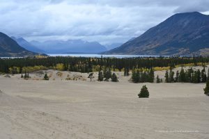 Carcross