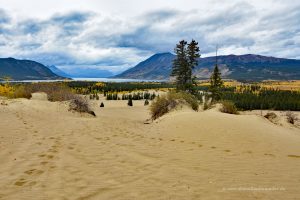 Carcross im Yukon