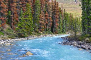 Athabasca River