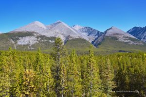 Gipfel der Northen Rockies