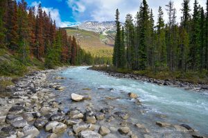 Athabasca River