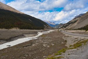 Entlang des Icefield Parkway