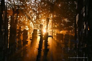 Sign Post Forest am Abend